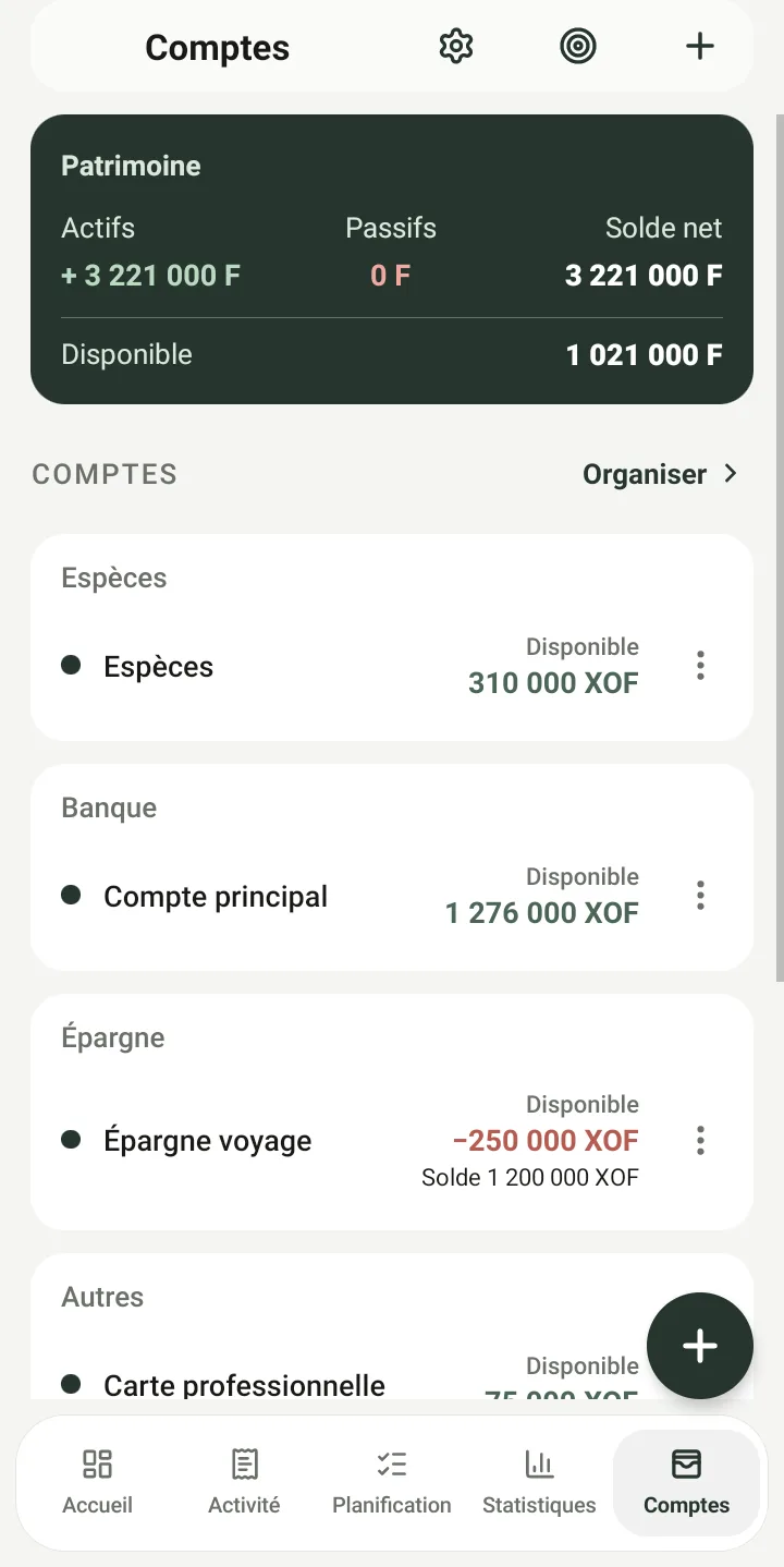 Capture de l’écran Comptes avec le patrimoine, le disponible et les comptes par groupe